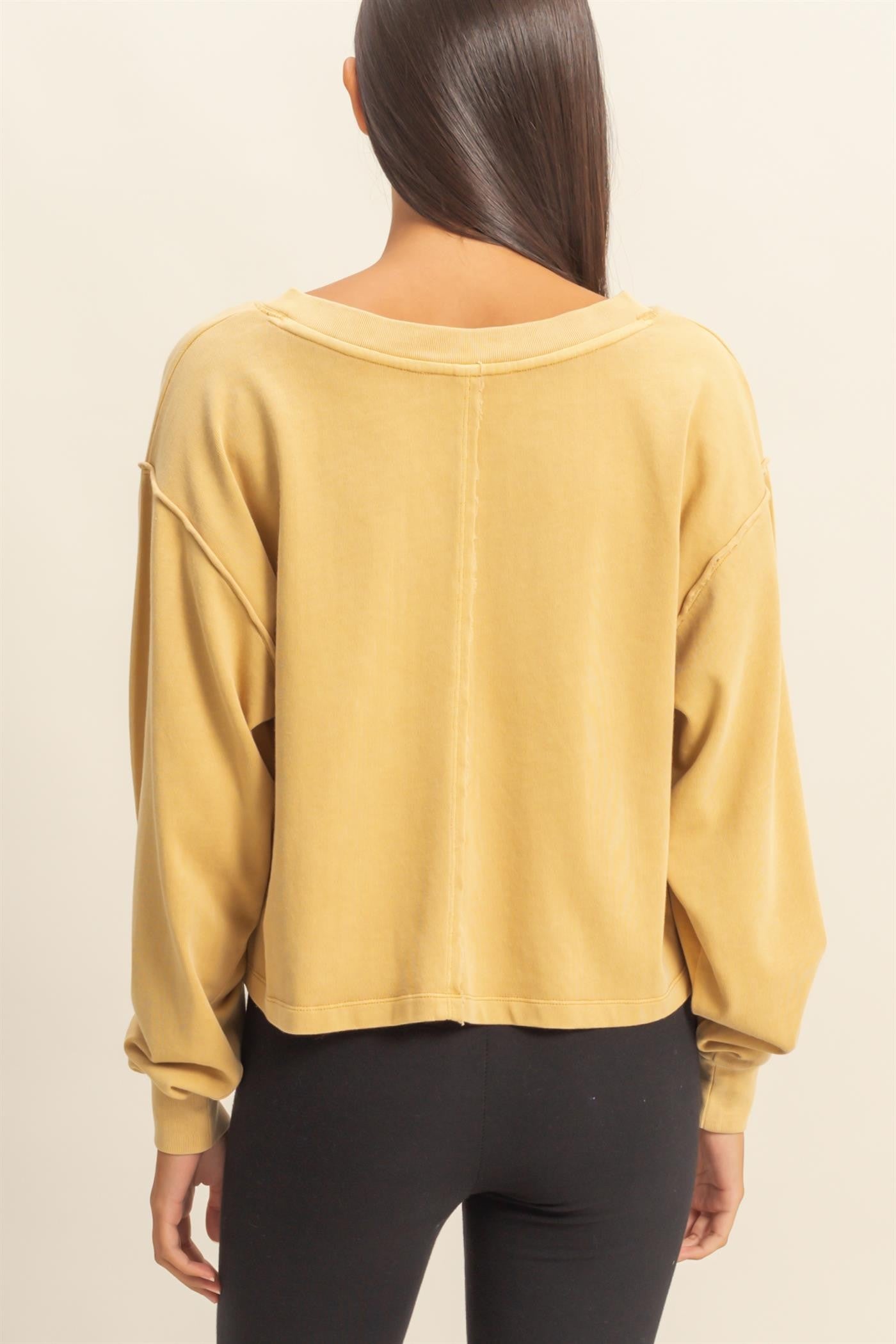 Aliana's Long Sleeve Cropped Top