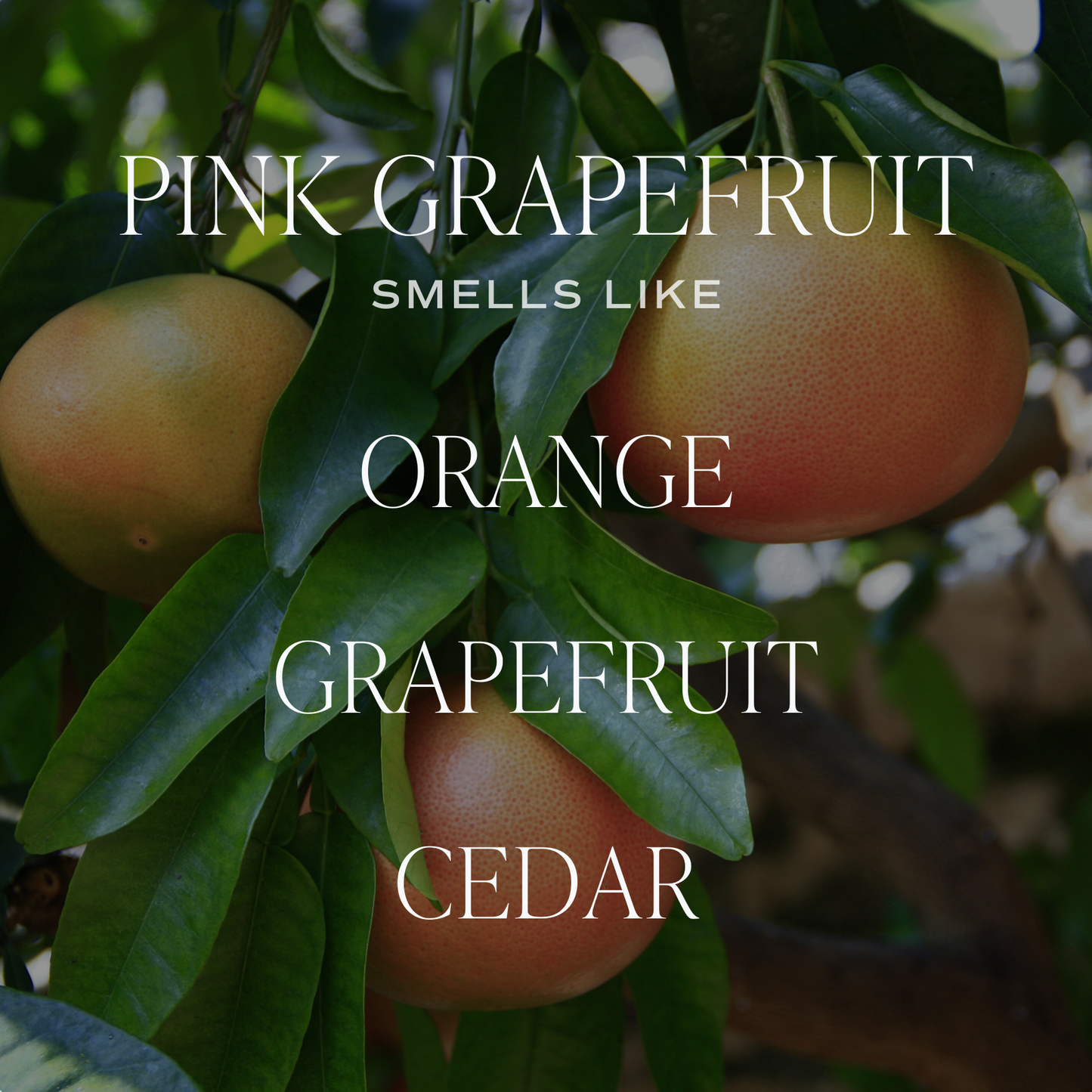 Pink Grapefruit Candle