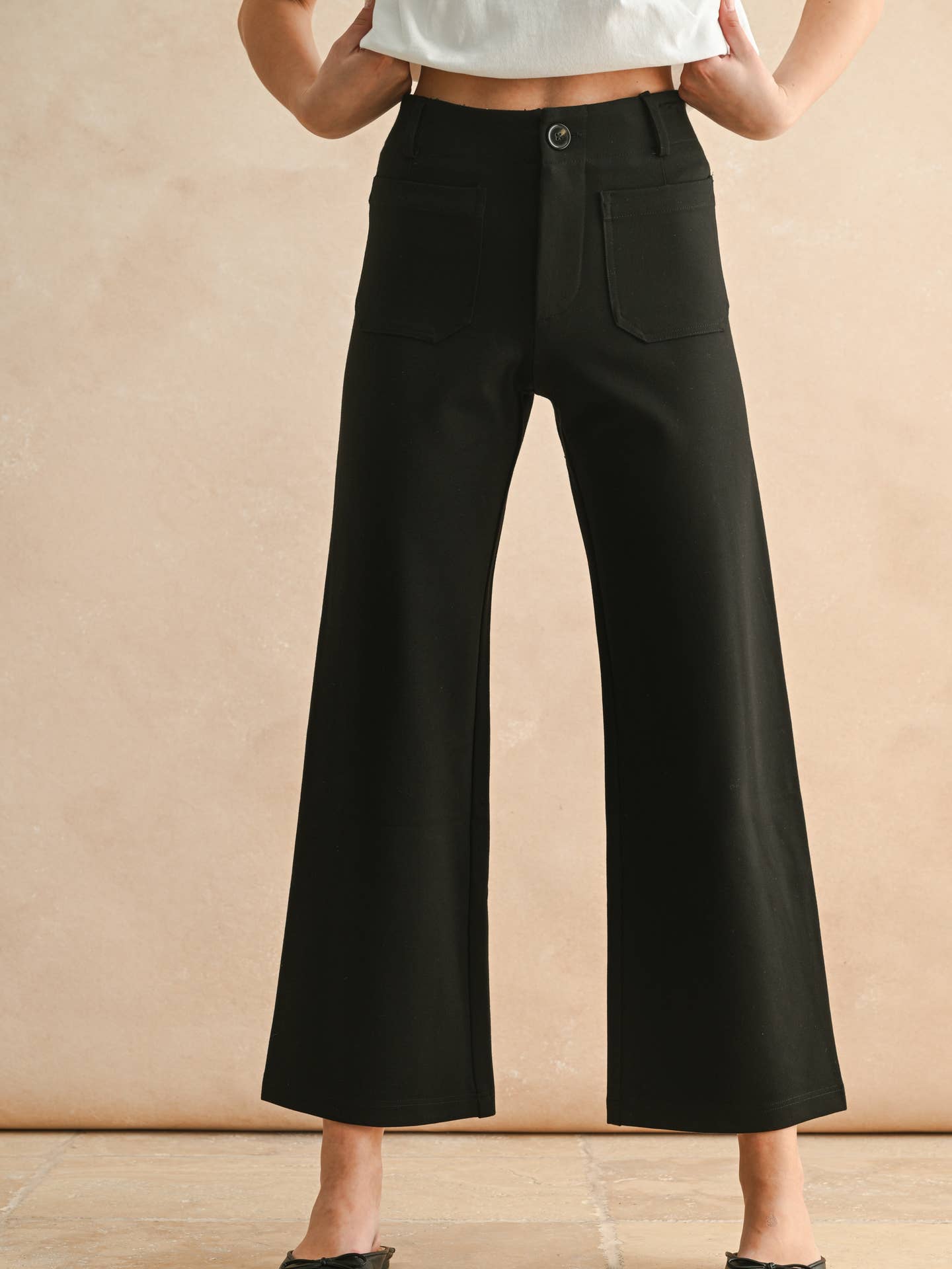 Hudson Ponte Crop Pants