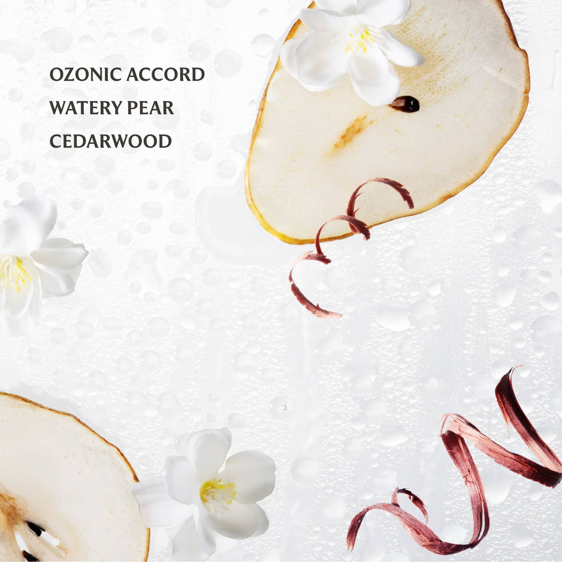 Rainwater Hand Sanitizer