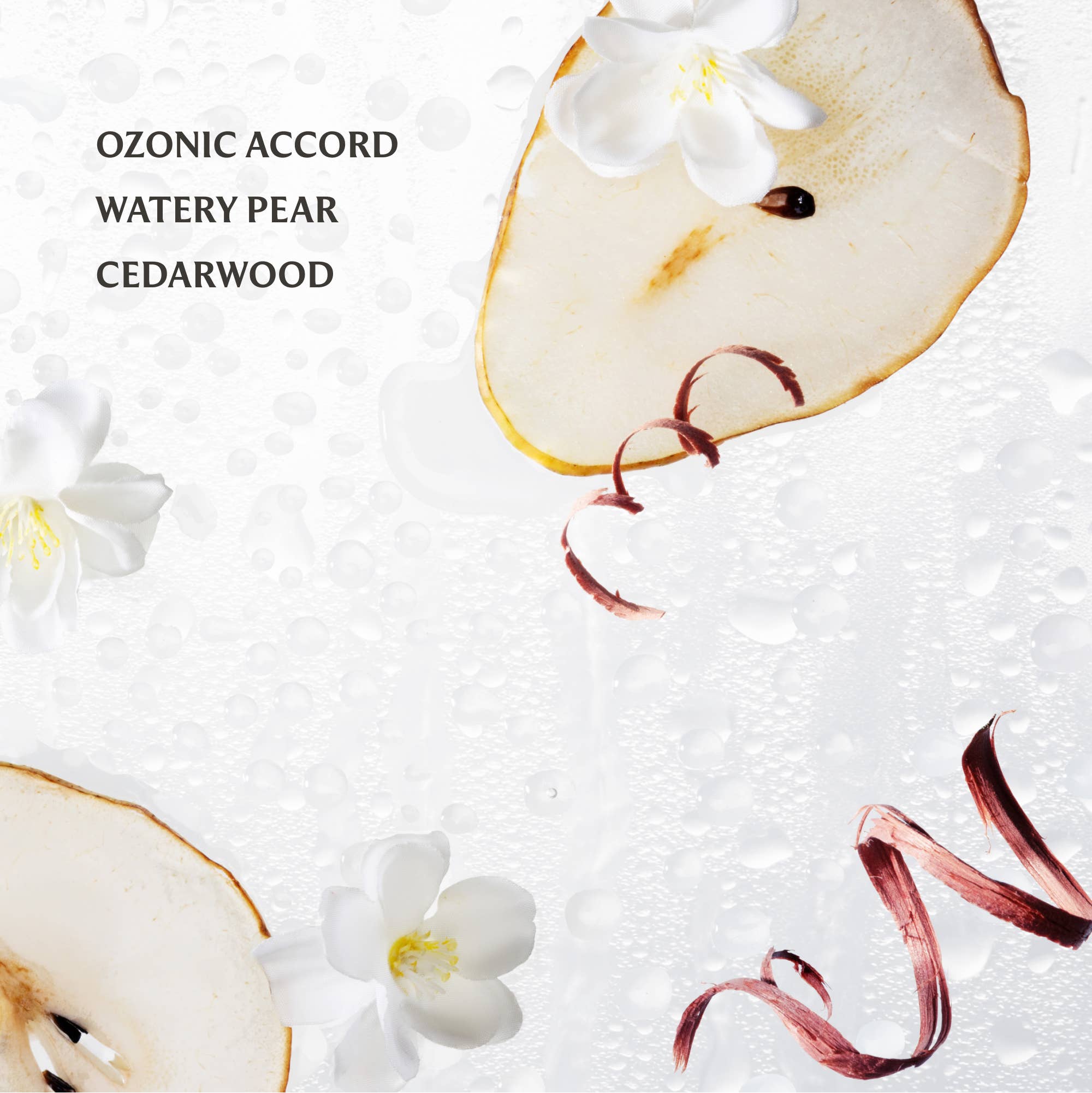 Rainwater Hand Sanitizer