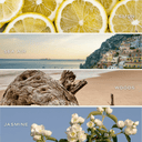Coastal Lemon 15 oz Soy Candle