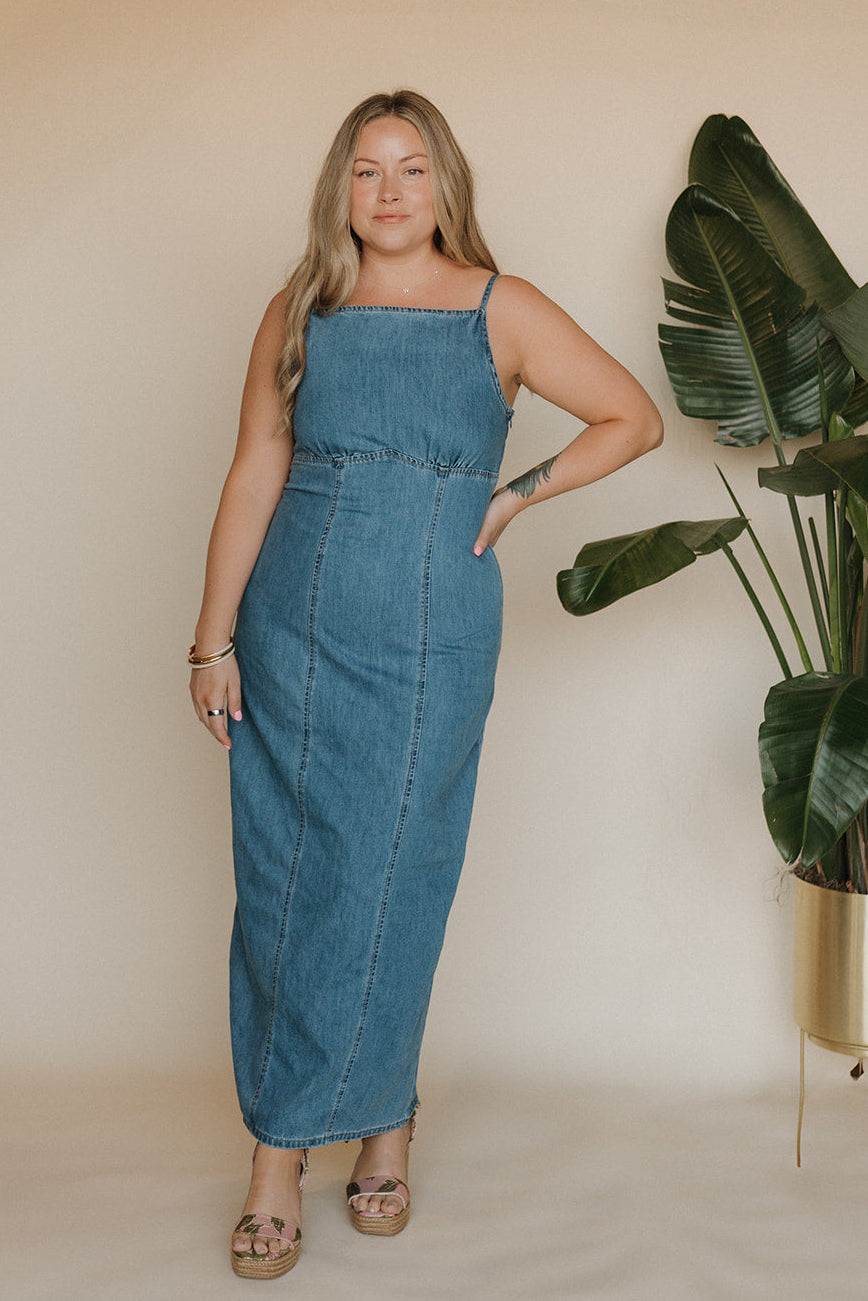 Lily's Denim Long Dress