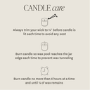 Mango and Coconut 15 oz Soy Candle