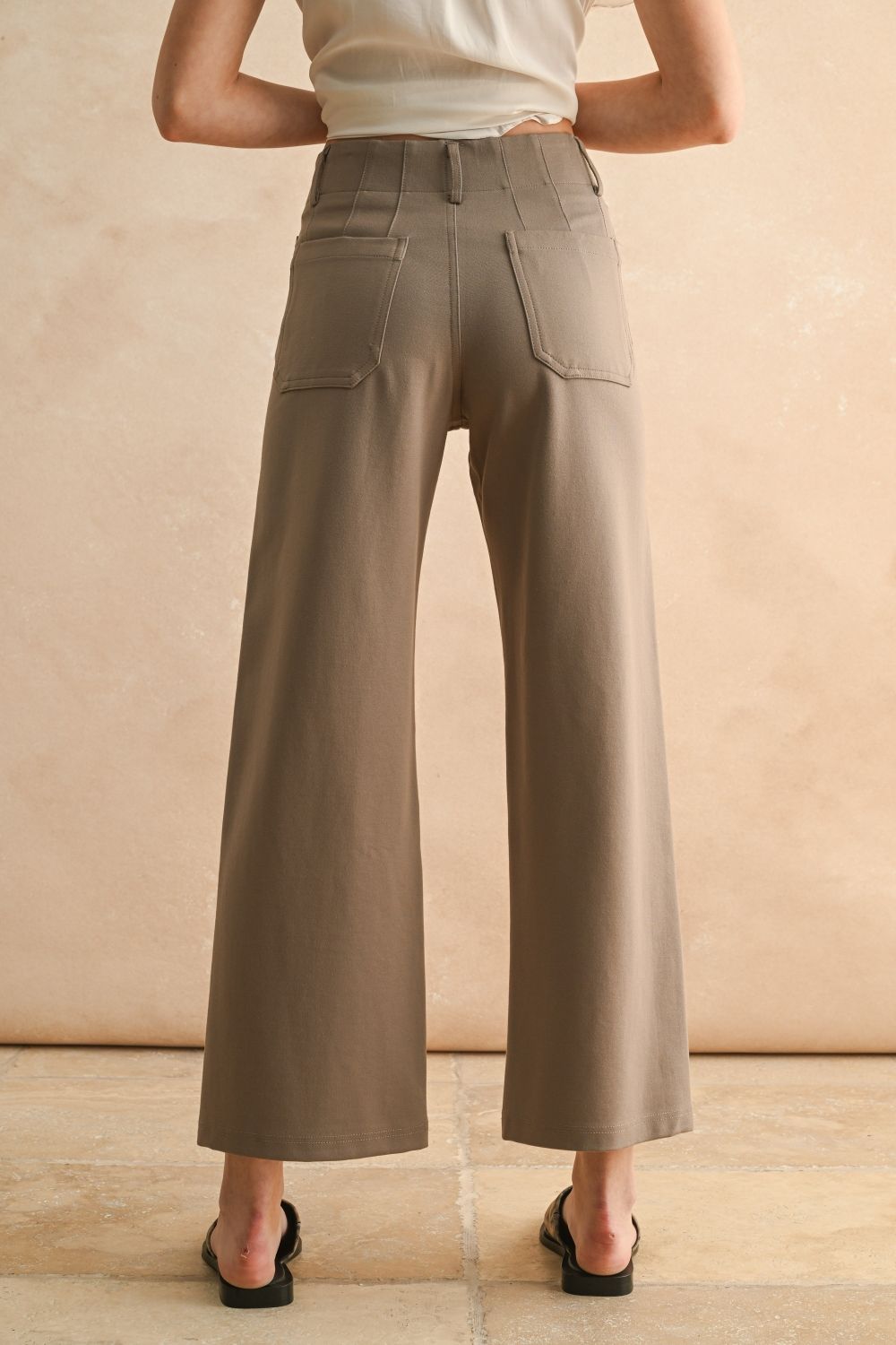 Hudson Ponte Crop Pants