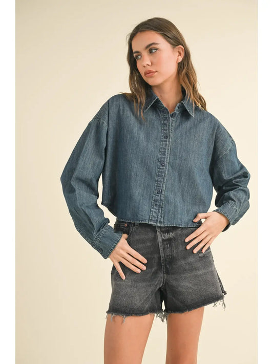 Surry Denim Button Down